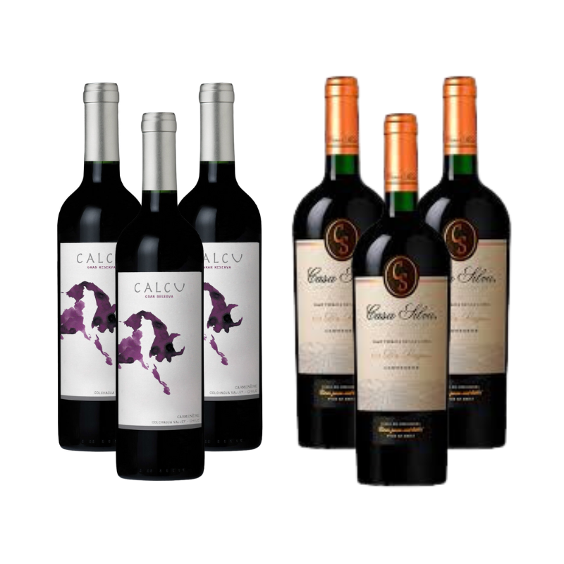 Pack 3 Vinos Calcu Gran Reserva Carmenere + 3 Vinos Casa Silva Gran Terroir Carmenere